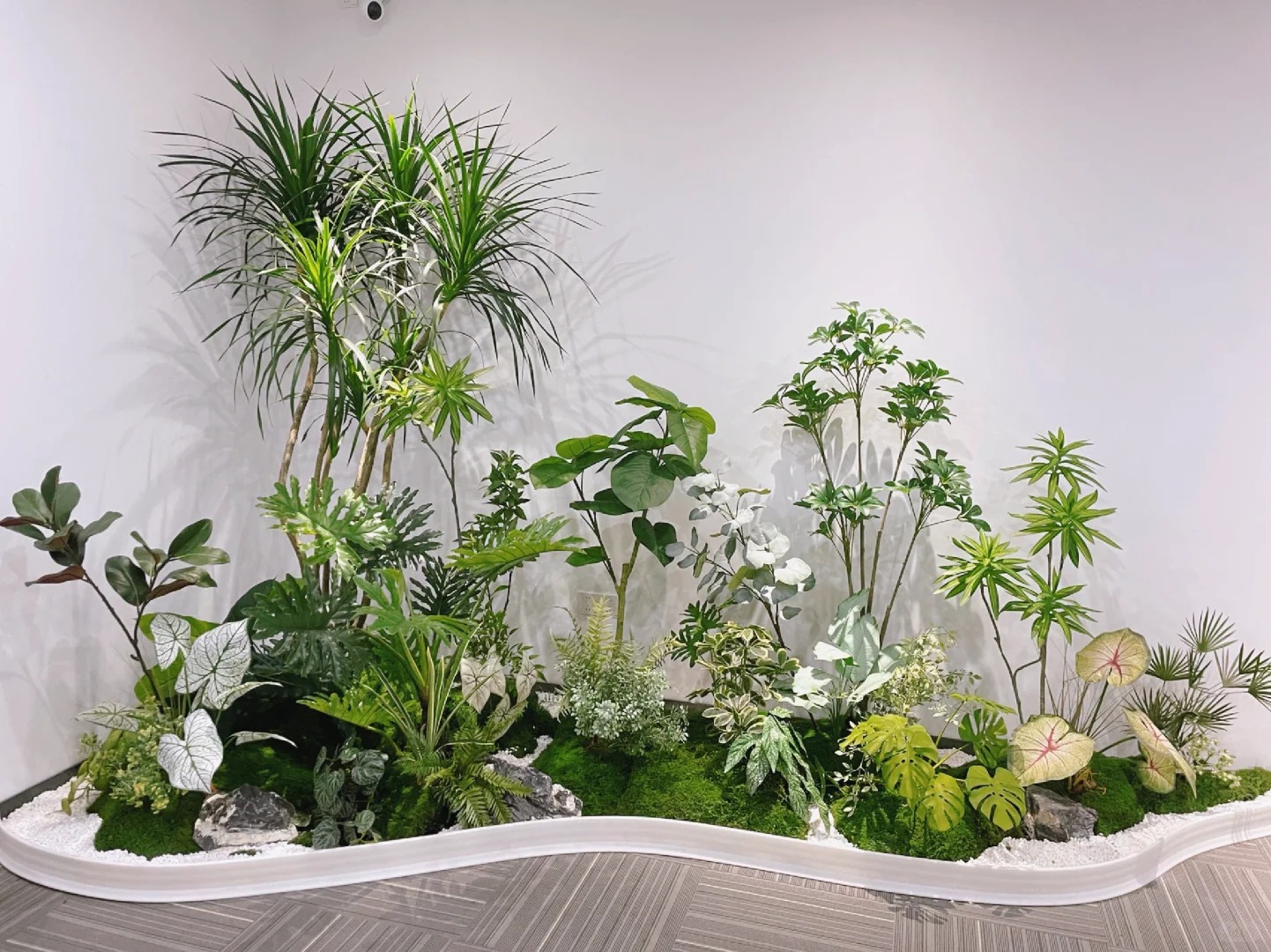 了解宁波奉化绿植租摆价格,开启绿色办公生活!